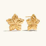 Boucles d'oreilles Thymes Gold Star